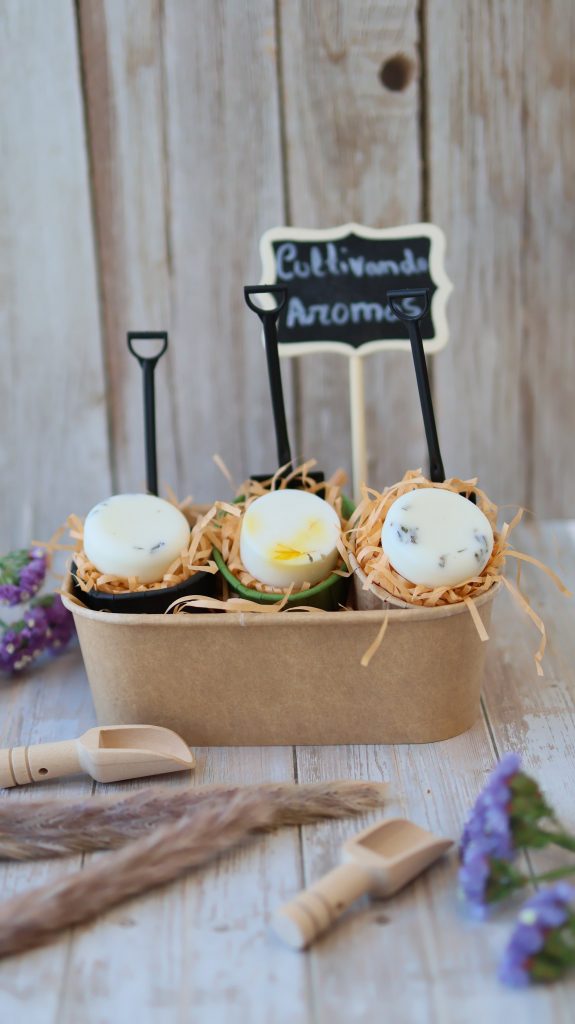 sesion-fotografia-afadadaaldea (9)